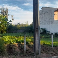 Terrenos Residenciais com 375m², no bairro Ponta Das Canas em Florianópolis